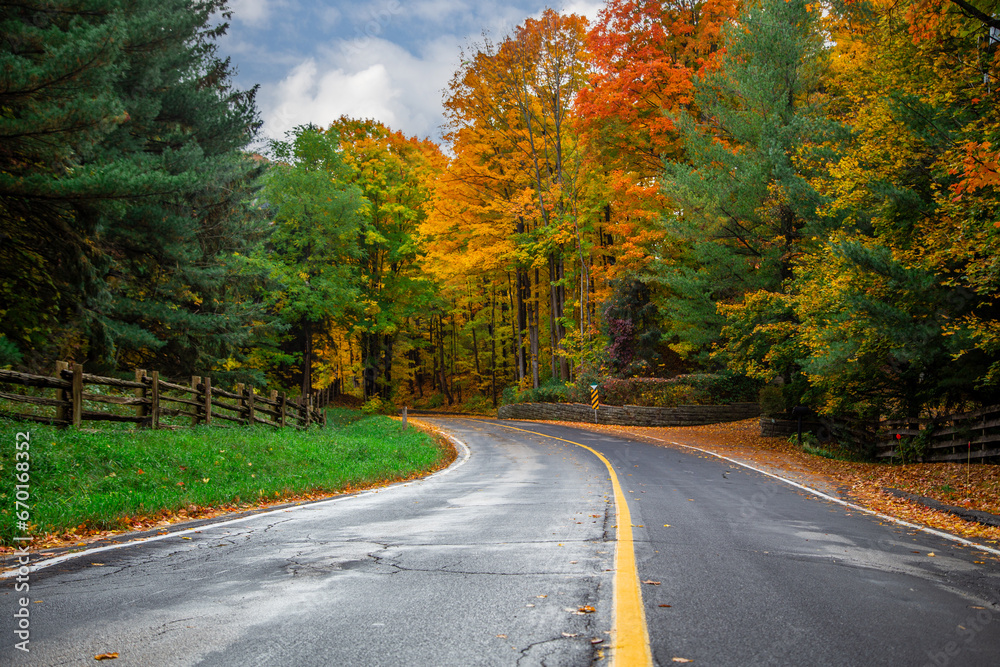 road in autumn forest road in autumn forest