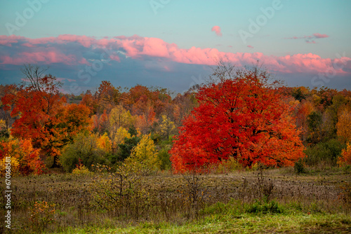 autumn landscape in the autumn