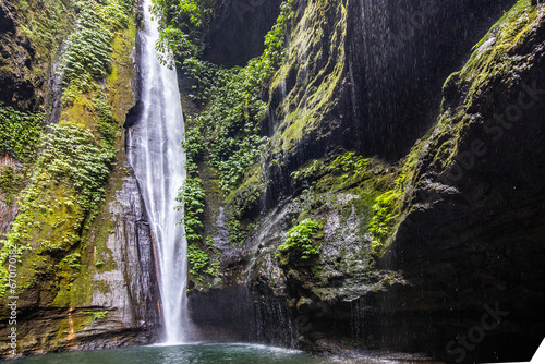 Green overgrown canyon in a tropical environment. Stream of a waterfall between rocks and green jungle in Bali