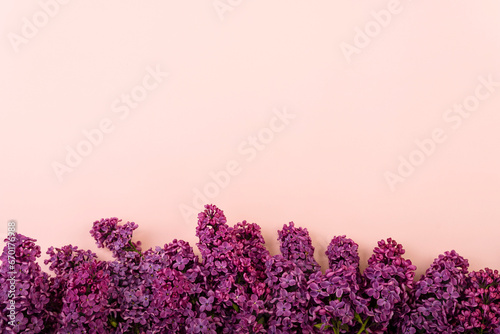 Lilac branches on a pink background. Spring background. Mockup. Lilac flowers. Top view, copy space.