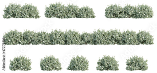 set of bush 3D rendering with transparent background, for illustration, digital composition, architecture visualization