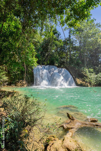 Roberto Barrios waterfalls with clear waters in tropical paradise in the jungle of  Mexico  Chiapas.