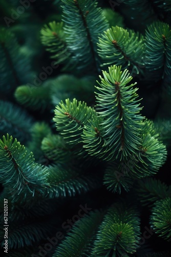 A close-up view of a pine tree with vibrant green needles. Perfect for nature enthusiasts and those seeking images of trees and foliage.