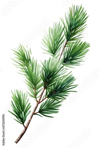 A beautiful watercolor painting of a pine tree branch. This artwork captures the delicate details and vibrant colors of nature. Perfect for adding a touch of nature to any space.