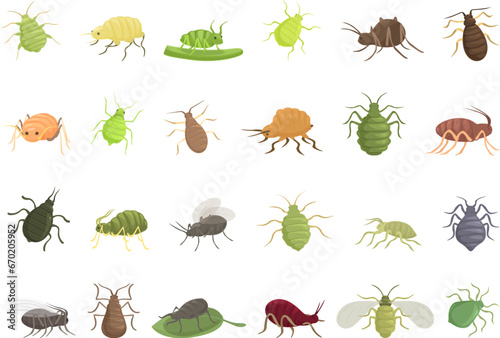 Aphid icons set cartoon vector. Insect summer nature. Root garden plant