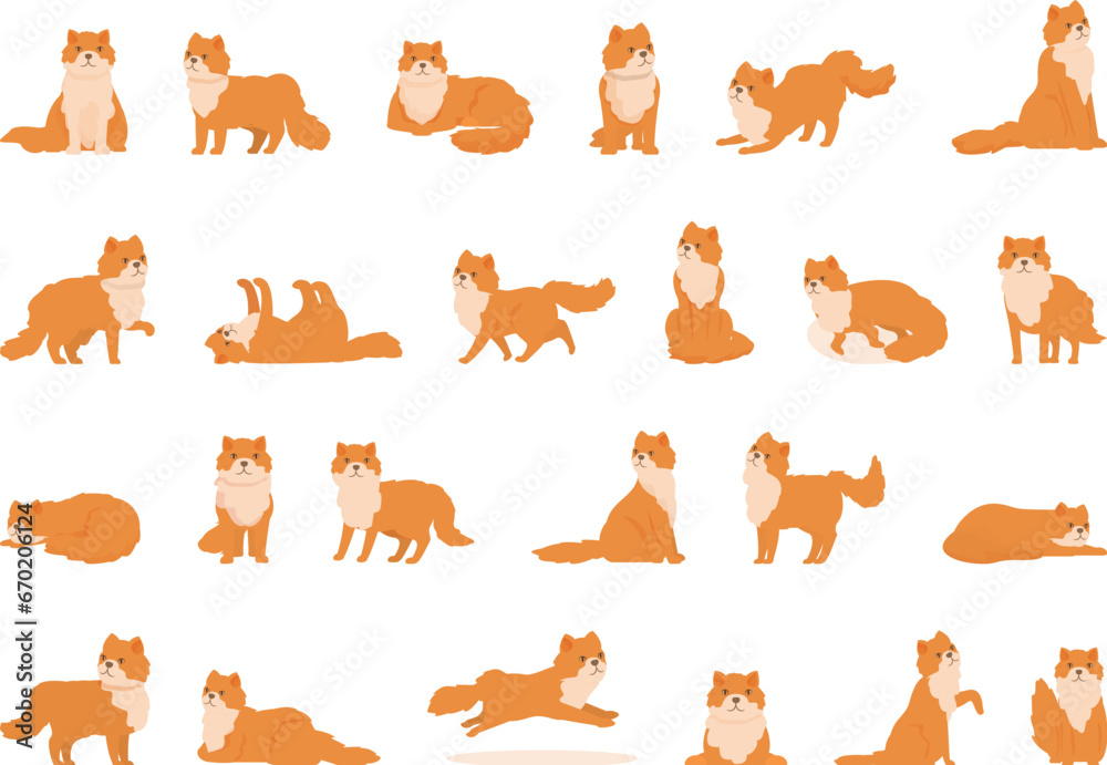 Obraz premium Persian cat icons set cartoon vector. Animal cute pet. Domestic fur mammal