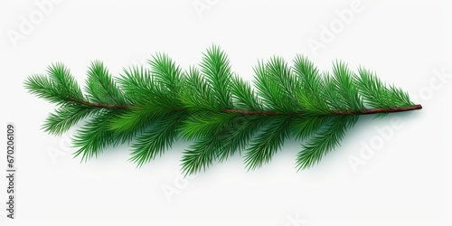 A close-up photograph of a single branch from a pine tree against a white background. This image can be used in various projects and designs