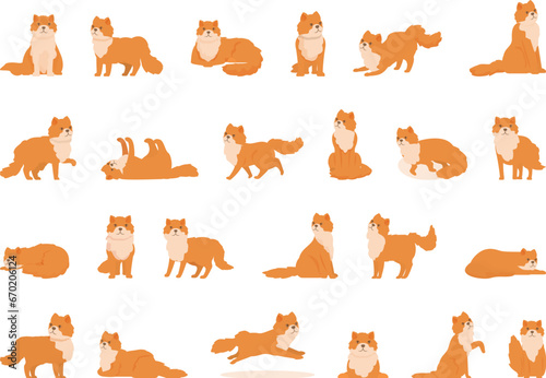 Fototapeta Naklejka Na Ścianę i Meble -  Persian cat icons set cartoon vector. Animal cute pet. Domestic fur mammal