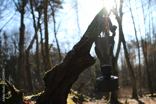 Stara maska       gazowa na drzewie w lesie