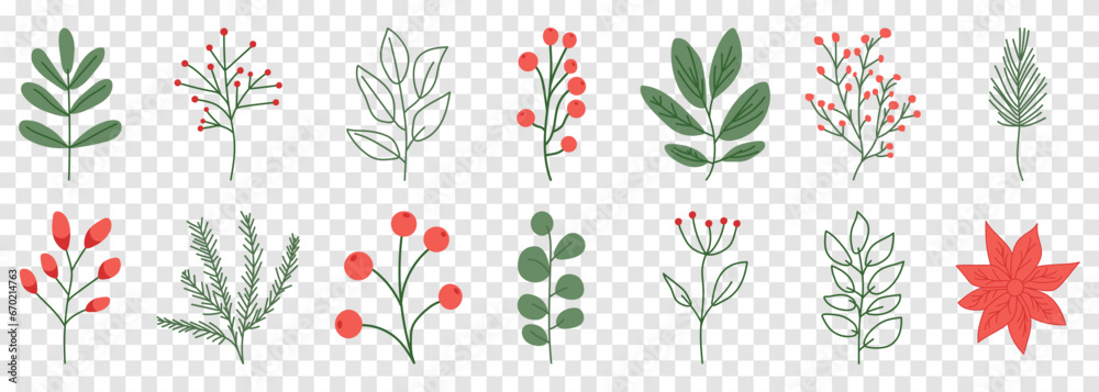 Set of hand drawn winter plant and leaves. Holiday decoration. Vector illustration isolated on transparent background
