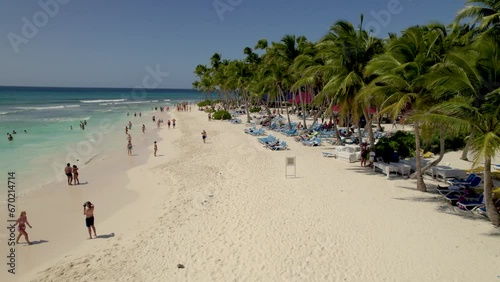 Caribbean White Sand Beach on a Tropical Isla Saona Island with Palm trees and Blue Water (Aerial Drone View in 4k)