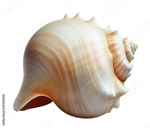 Smooth imaginary seashell, isolated on white background, for use as decoration element © EricG