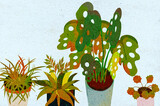 Ilustracja grafika rośliny doniczkowe białe tło.