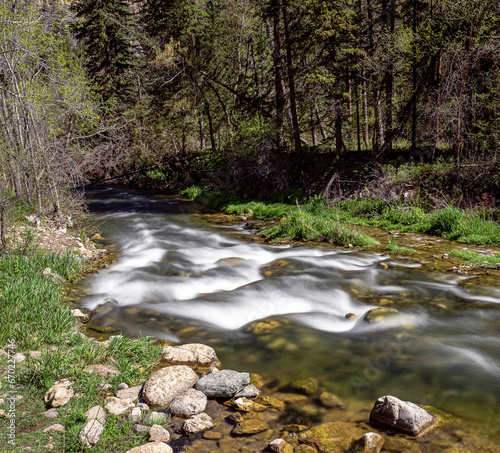 stream in the forest