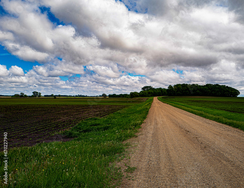 landscape with a field and sky