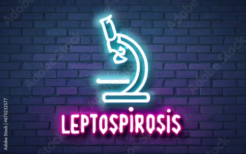 Leptospirosis photo