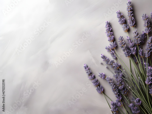Vibrant purple lavender isolated on subtle white textured background with empty space for text. Top view. Flat lay. Close up. Decorative banner