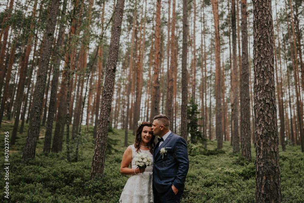 bride and groom in forest pine trees. The groom kisses the bride's forehead. bride and groom in forest pine trees. The groom kisses the bride's forehead.