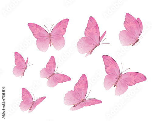 collection of butterflies watercolor  © ulucsevda