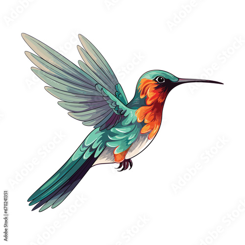 Hand Drawn Flat Color Hummingbird Illustration