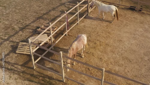 Two beautiful horses and a horse in an open wooden enclosure in a field with yellow grass and hay in the fresh air. Aerial view photo