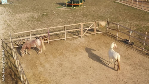 Two beautiful horses and a horse in an open wooden enclosure in a field with yellow grass and hay in the fresh air. Aerial view photo