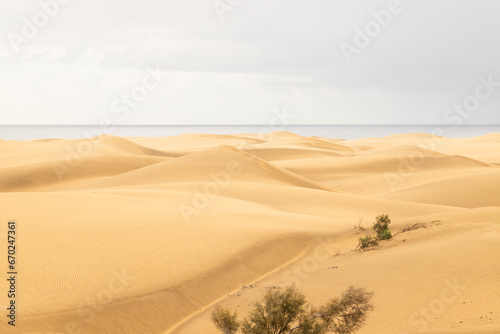 View over the dunes of Maspalomas on Gran caniria