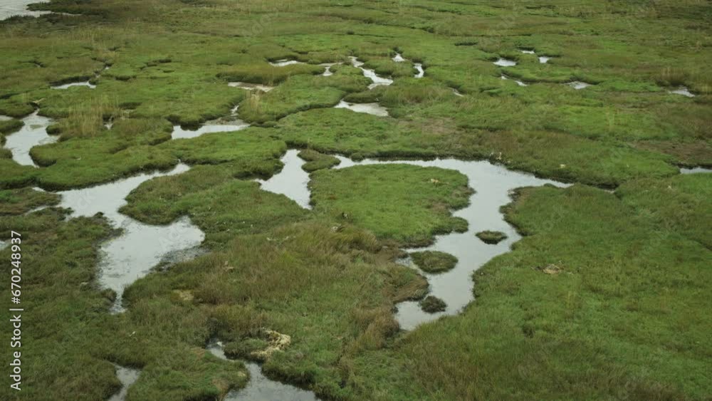 Aerial flyover view of marsh at Willapa Wildlife Refuge / Seaview, Washington, United States Aerial flyover view of marsh at Willapa Wildlife Refuge / Seaview, Washington, United States