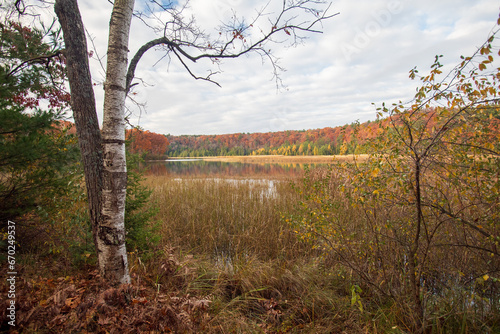 AuSable River - Cooke Pond - Pine Acres - Huron National Forest photo