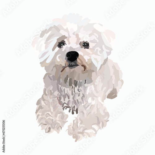 Poodle dog in a sitting pose. Cute laying pose logo design, popular white color, breed pet character postcard art. Funny dog mascot. Detailed illustration. White, silver, grey color. Cartoon style.