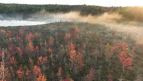Wetland in fall color at dawn