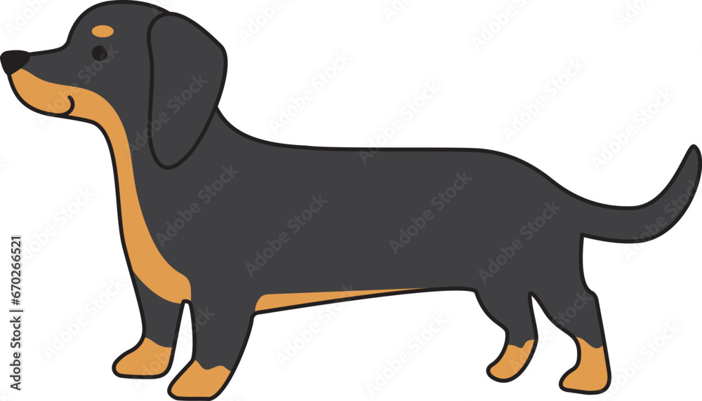 Dachshund dog in black and tan short haired color icon.