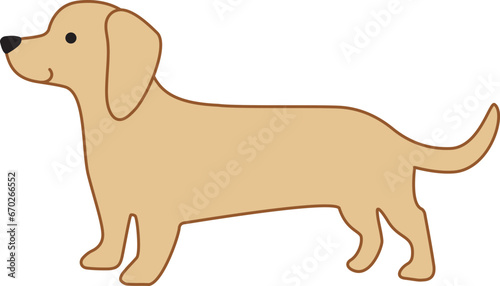 Dachshund dog in cream short hair color icon.