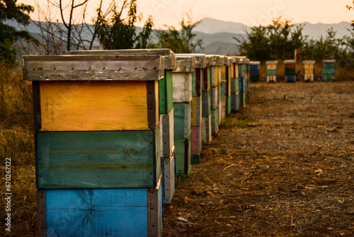 Beehive boxes plased far from city smoke in the nature