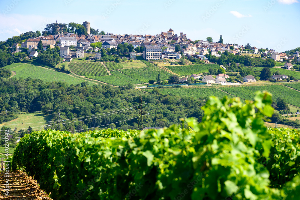 View on vineyards around Sancerre wine making village, rows of sauvignon blanc grapes on hills with different soils, Cher, Loire valley, France
