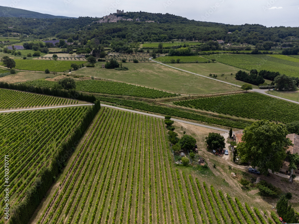 Aerial view on rows of vineyards, green fiels and Lacoste village in Luberon, Provence, France in July