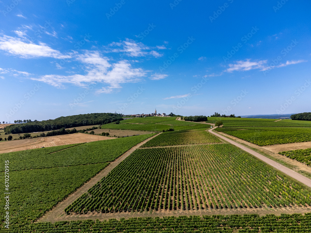Aerial view on vineyards of Pouilly-Fume appellation, making of dry white wine from sauvignon blanc grape growing on different types of soils, France