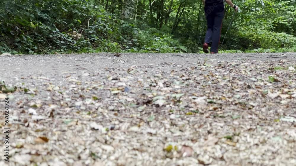 Close up of woman walking with Scandinavian trekking sticks in the forest Close up of woman walking with Scandinavian trekking sticks in the forest