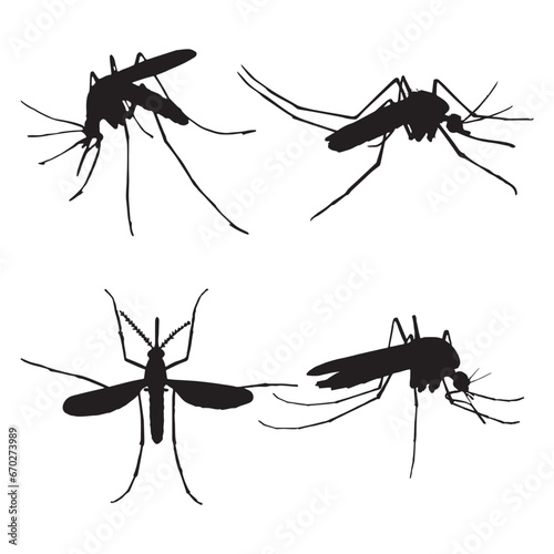 mosquito silhouette isolated black on white background