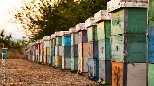 beehive boxes arranged in the nature far from city pollutants