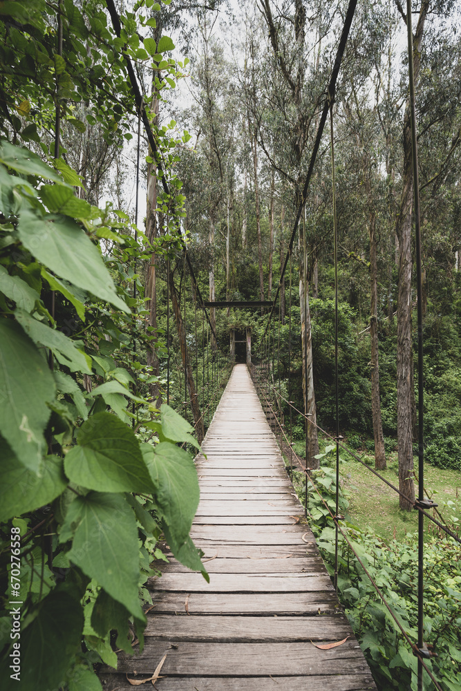 Fototapeta premium Picturesque paths in the forests of Ecuador on the outskirts of the city of Otavalo. Bridge over the river.