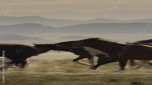 Tracking shot of horses running and grazing near mountain range  - vertical video / Dugway, Utah, United States