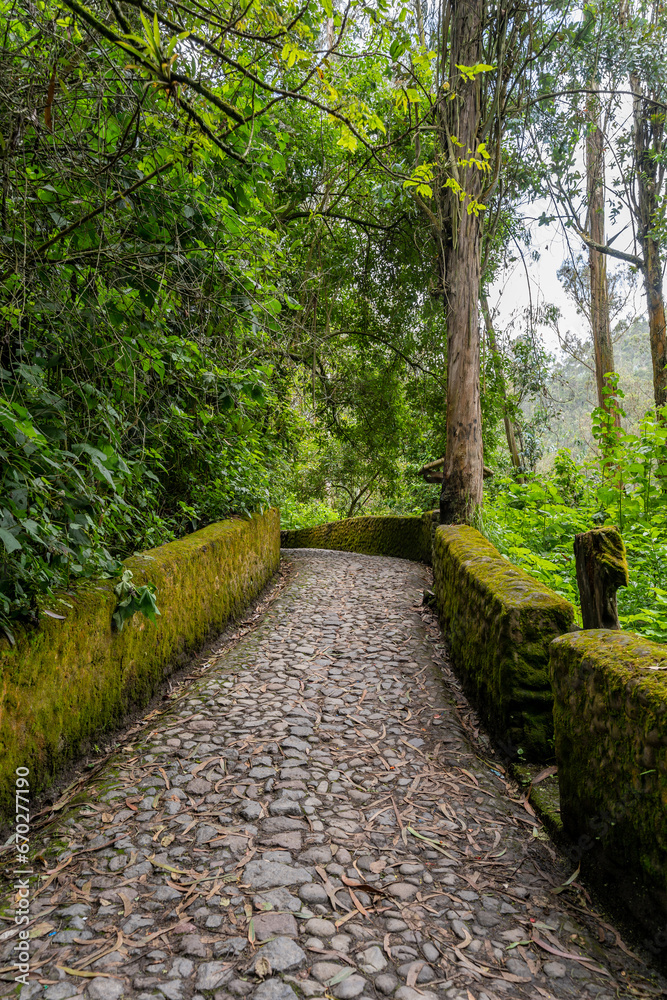 Picturesque paths in the forests of Ecuador on the outskirts of the city of Otavalo. Picturesque paths in the forests of Ecuador on the outskirts of the city of Otavalo.