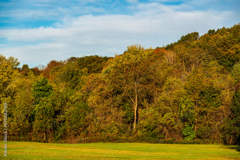Autumn Landscapes with trees and forest Autumn Landscapes with trees and forest