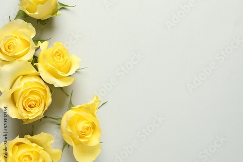 Fototapeta Naklejka Na Ścianę i Meble -  Beautiful yellow roses on light grey background, flat lay. Space for text