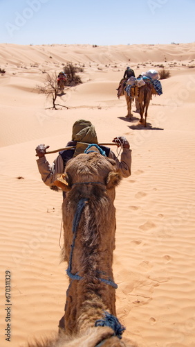 Bedouin cameleer leading a dromedary camel  Camelus dromedarius  on a camel trek in the Sahara Desert  outside of Douz  Tunisia