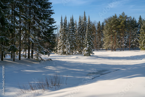 Winter landscape near the Upper Ponds in the Catherine Park of Tsarskoye Selo on a sunny winter day, Pushkin, St. Petersburg, Russia