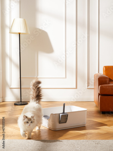 Cuadro en lienzo cat litter box,Cat litter basin,pet toilet,indoor