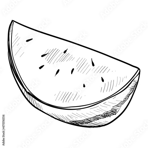 watermelon hand drawn