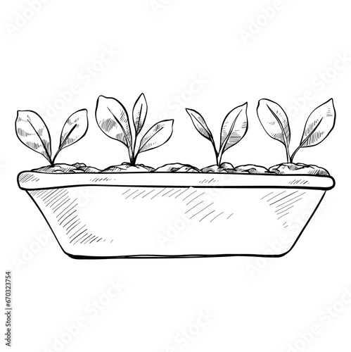plantation crops handdrawn illustration